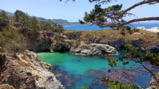 🇺🇸Point Lobos🇺🇸
(15. červen 2022)  Kalifornské pobřeží mě vážně vystřelilo z kecek! Takové výhledy jsem si prostě ve státě slavném díky Hollywoodu vůbec nepředstavovala. Chyba, chyba 🙈  Cestou od Bixby Bridge zpět na sever jsme si dali procházku státní rezervací Point Lobos kde to žije ve vodě i na břehu. Předvedli se nám lachtani, kormoráni, racci, myriáda barevných květů a cypřiše monterejské, které rostou jen tady a na nedaleké Pebble Beach. Ve správné sezóně jsou vidět i různí kytovci.  To je důvod, proč tu v půlce 19. století vznikla malá velrybářská osada, která naštěstí s rozšířením petroleje zanikla a zůstalo tu po ní  jen muzeum.  Mimochodem, lobos sice ve španělštině znamená 'vlk', ale jelikož o nich nebylo ani vidu ani slechu, budeme předpokládat, že název inspirovaly kolonie lobos marinos, tedy lachtanů 😁