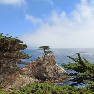 🇺🇸Carmel-by-the-Sea🇺🇸
(15. červen 2022)  Já fotila sice jen přírodu kvůli které jsme sem jeli, ale jinak je městečko Carmel-by-the-Sea známé svými výjimečnými obyvateli a návštěvníky.  Po zemětřesení, které v roce 1906 poničilo blízké San Francisco, se sem začali stahovat umělci všeho druhu. O 4 roky později už se 60% majitelů domů věnovalo nějaké formě umění a samozřejmě se dostali i do vedení. Třeba v 80. letech tu starostoval Clint Eastwood.  I teď tady můžete narazit na celebrity. Nedávno se tu procházeli třeba Taylor Swift a Bradley Cooper, hádat můžete, co si objednal Obama v restauraci Little Napoli, nebo který dům patří Bradovi Pittovi.  Při scénické jízdě po 17 Mile Drive vám ale nakonec bude úplně jedno, jestli někoho potkáte. Teda krom svištíka, ti jsou 🥰  #carmelbythesea #17miledrive #californiaroadtrip #amerika #cestovani #minveciviczazitku #sLaZkou #cestovatelskyblog #cestovatelka #cestotipy #travelblog #spojenestaty #kalifornie #svist